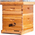 Beehive 10 Frame Bee Hives and Supplies Starter Kit - Complete 2-Layer