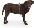 Non Restrictive Dog Harness Easy Walk Freedom No Pull Harness
