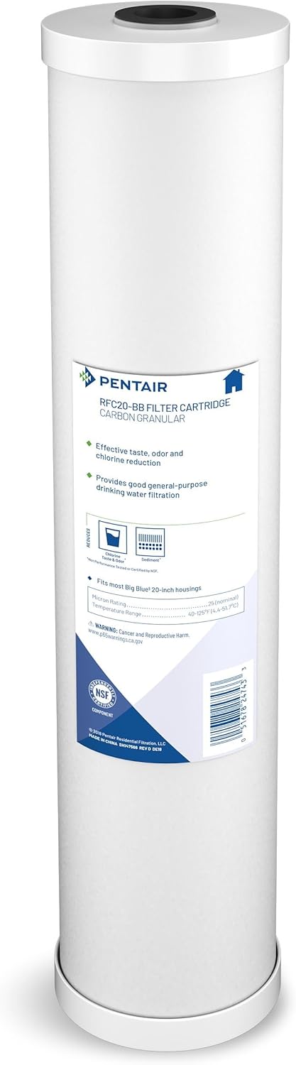 Pentair RFC-20BB Big Blue Carbon Water Filter for Clean Water