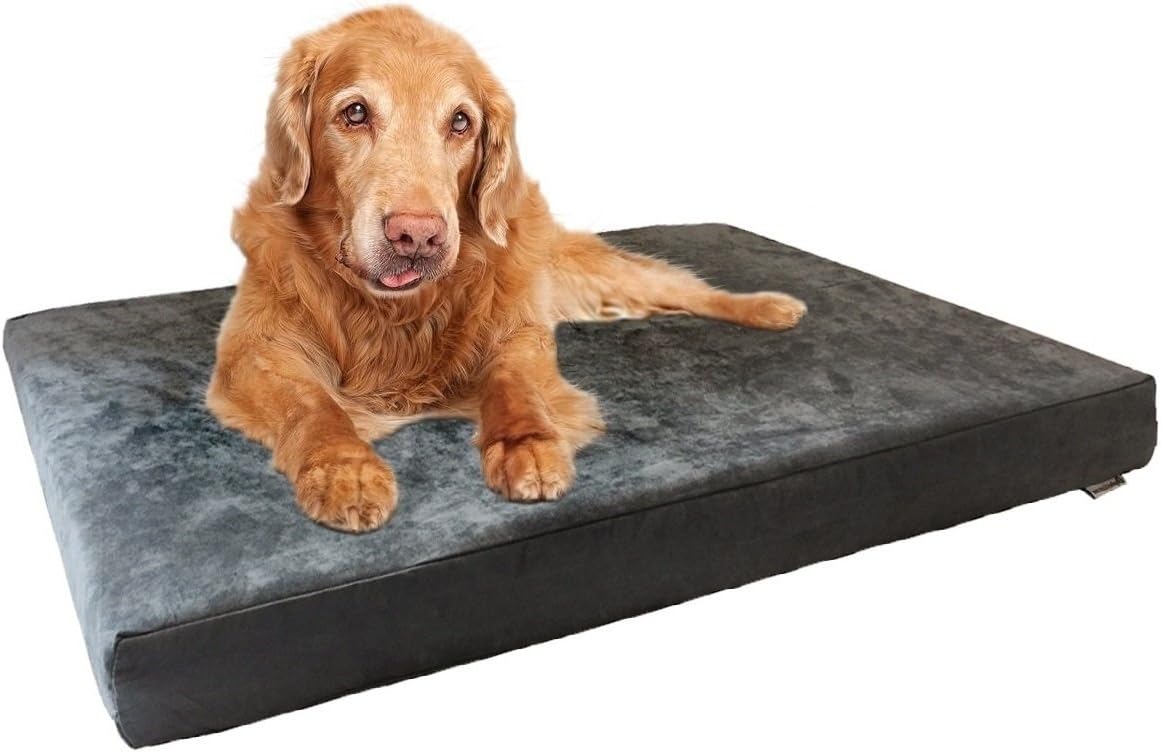Dogbed4less Orthopedic Dog Bed with Memory Foam for Pets