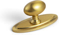 Brushed Gold Cabinet Knobs with Backplate - Elegant Ellipsoid Set