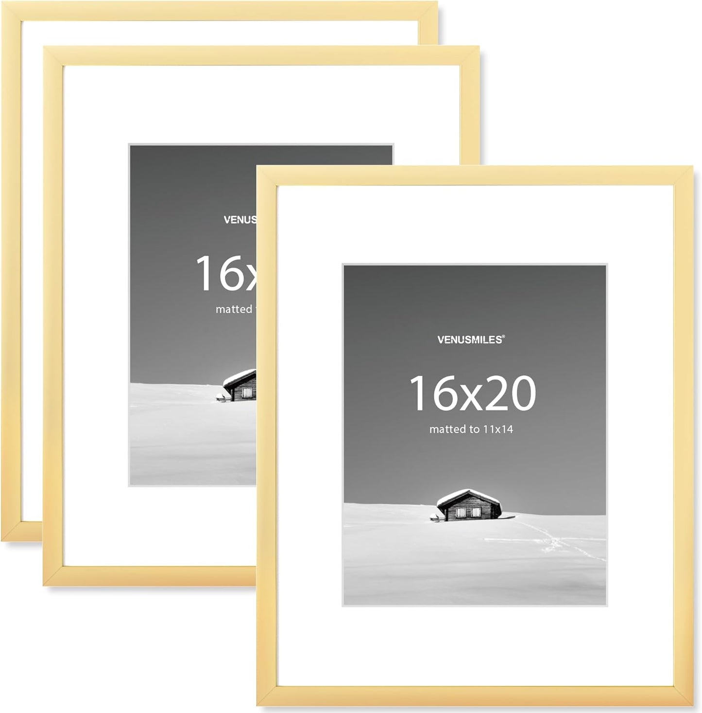 16x20 Picture Frame Set with Removable Mat - Gold Finish