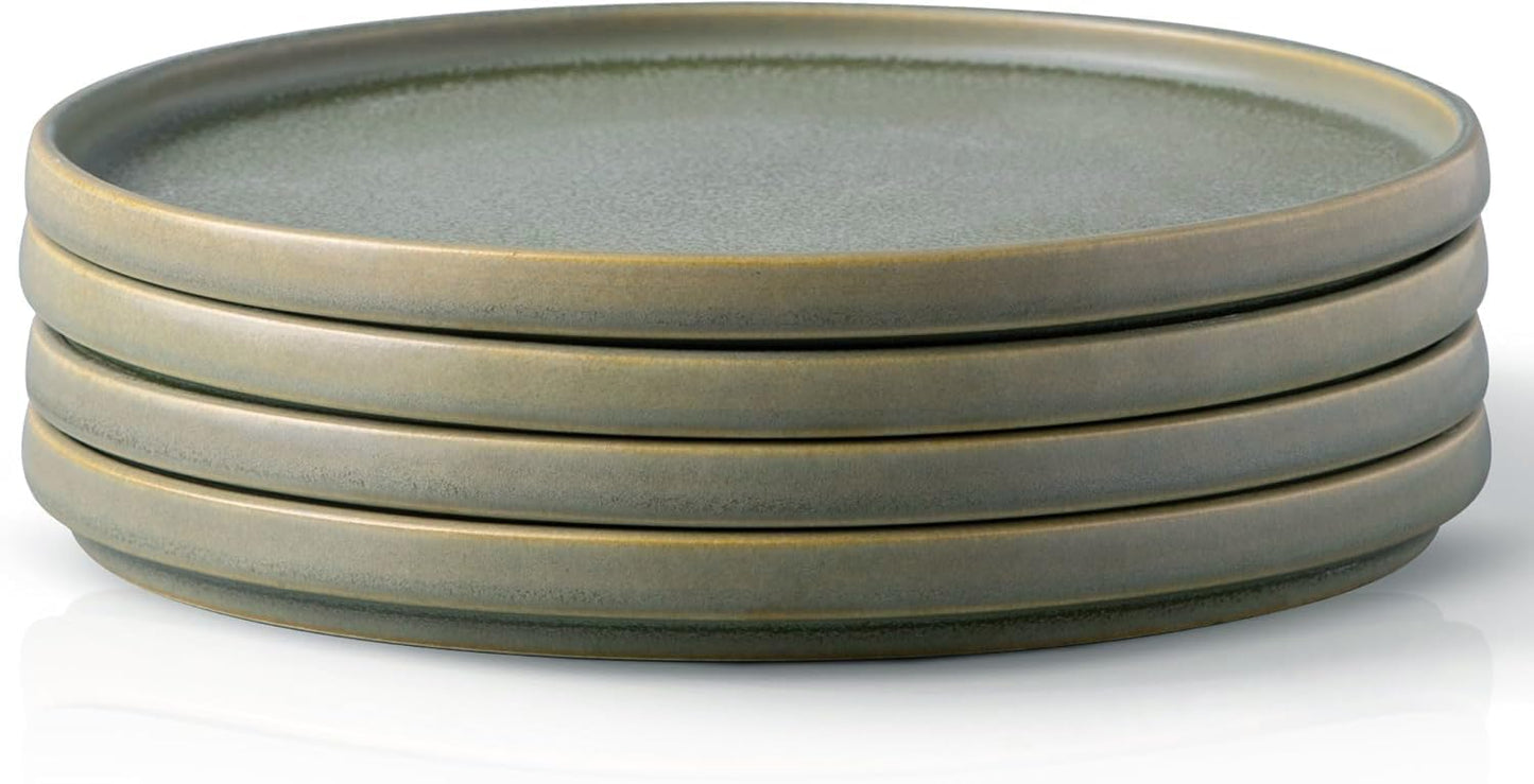 Unique Reactive Matte Glaze Dinner Plates Set of 4, 10.5 Inch