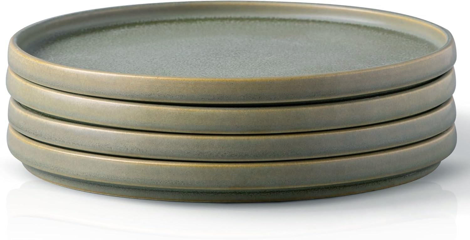 Unique Reactive Matte Glaze Dinner Plates Set of 4, 10.5 Inch