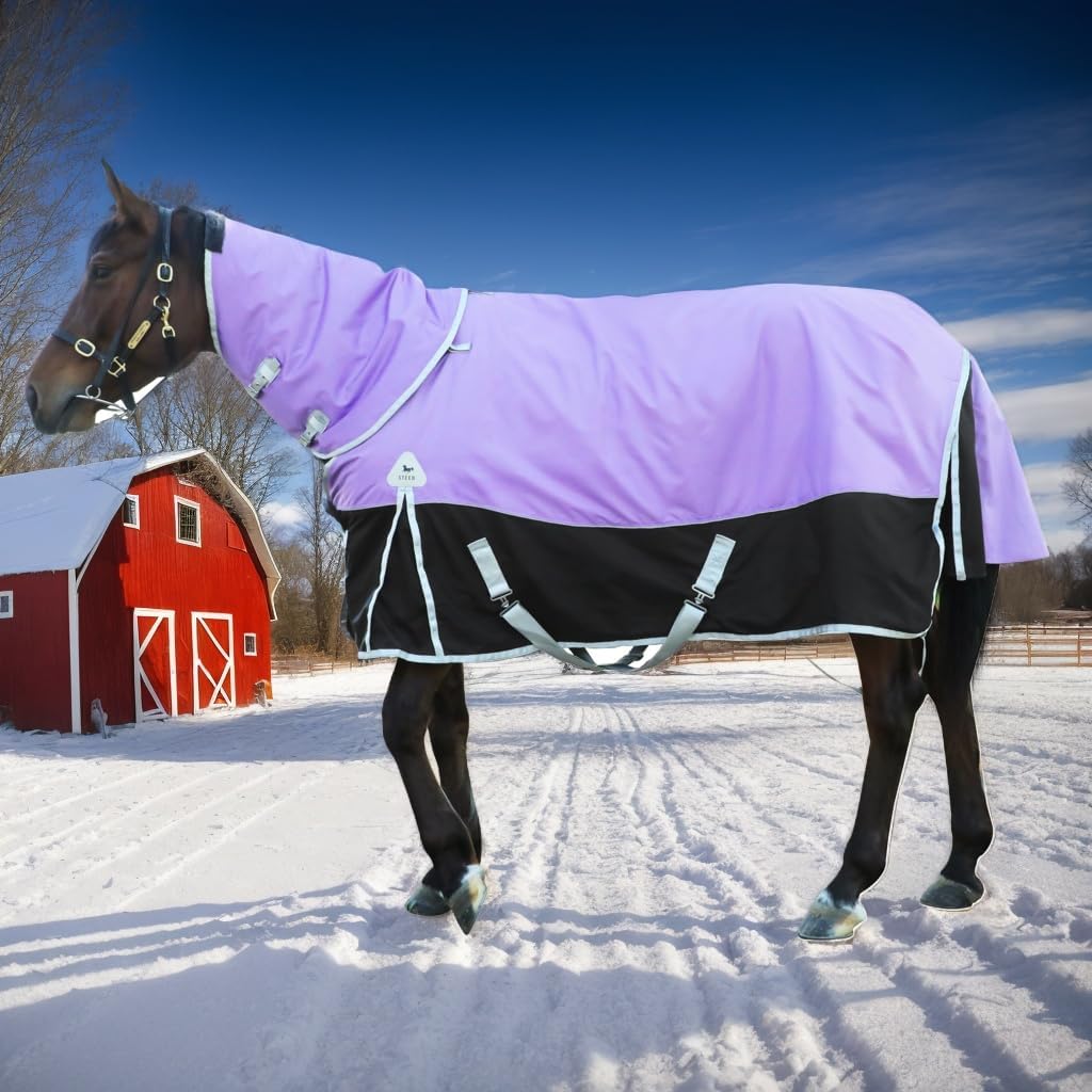 Windproof Violet Horse Blanket 1600D | Waterproof Poly | Neck Cover | (78IN)