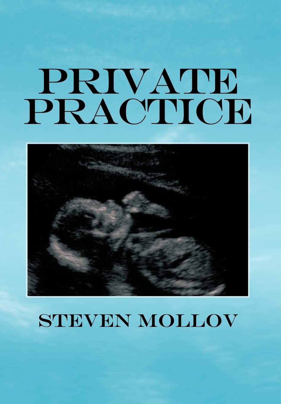 Private Practice by Steven Mollov: A Comprehensive Guide