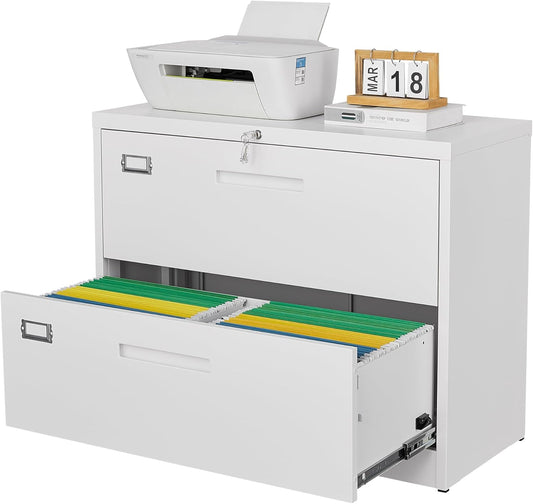 Secure Home Office Organization: Letaya 2-Drawer Filing Cabinet