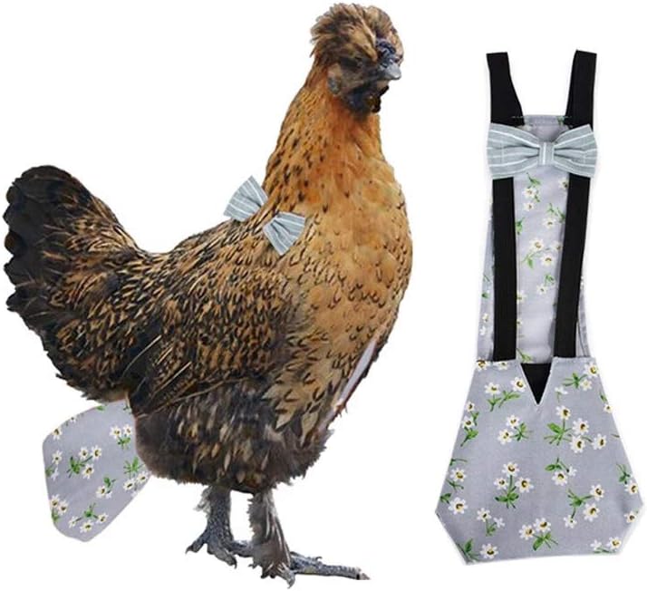 Adjustable Washable Duck Diaper for Happy Hens | HongGun