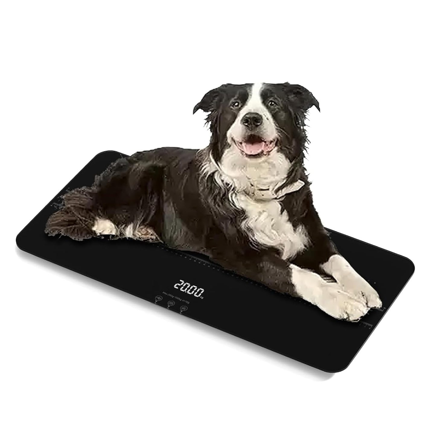 SIKE Medium-Small Veterinary Scale for Accurate Pet Weighing