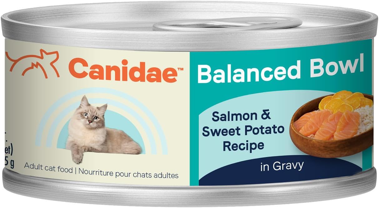 Canidae Balanced Bowl Wet Cat Food with Salmon & Sweet Potato