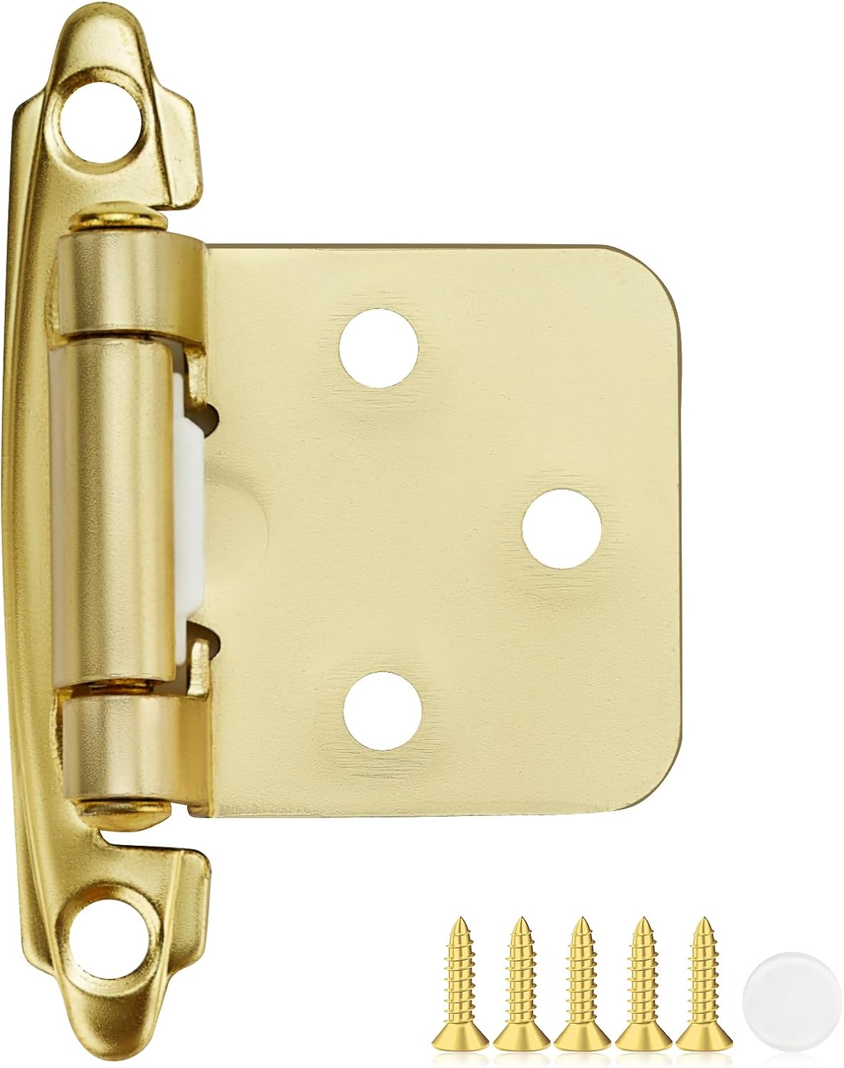 40 Pack Gold Cabinet Hinges for Smooth Self Closing Doors