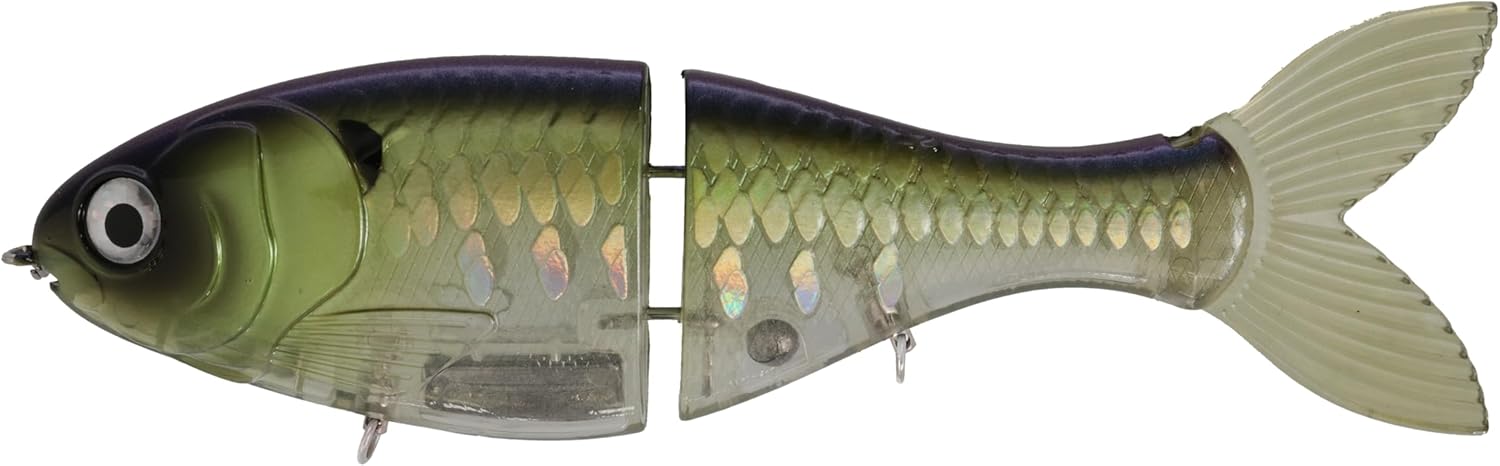 6 Trick SHAD by Bucca Brand - Perfect for Big Bites Fishing