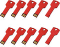 RAOYI 2GB USB Flash Drive 10 Pack - Key Shape Metal Thumb Drives