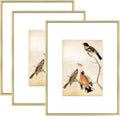 8.5x11 Picture Frame Set of 3 with Brass Metal Design