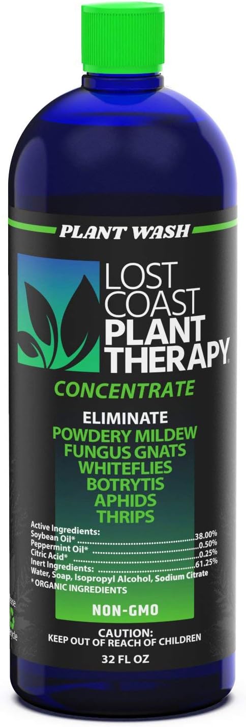 Plant Wash Concentrate for Effective Insect Control and Care