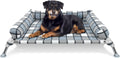 Elevated Raised Dog Bed Cot with Bolster - Cooling Portable Pet Cot