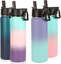Volhoply Insulated Water Bottles with Straw 4 Pack - Long Ice