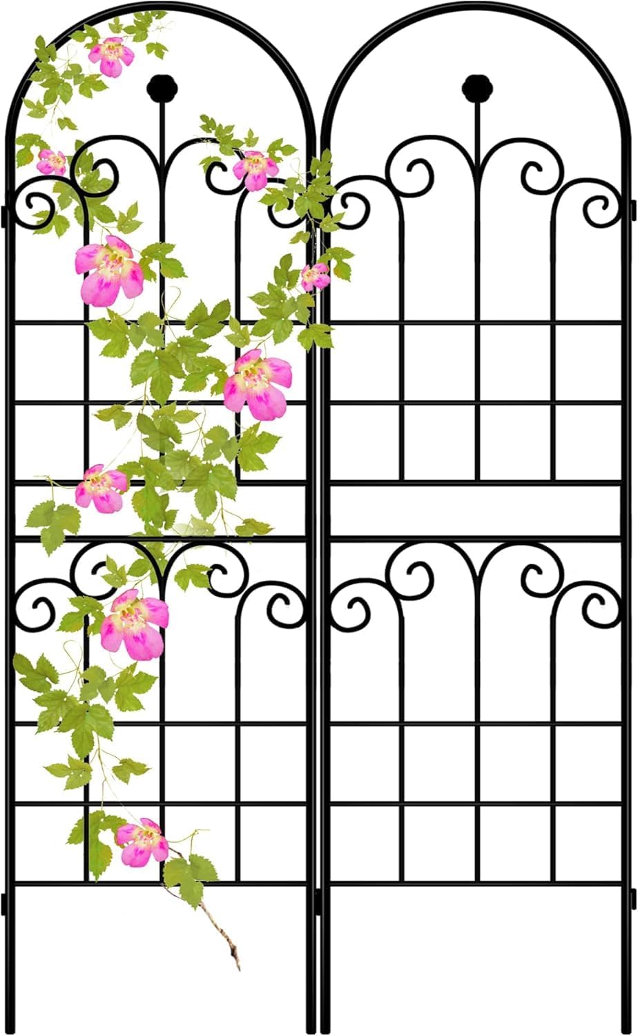 Rustic Iron Arch Decoration Garden Trellis for Climbing Plants