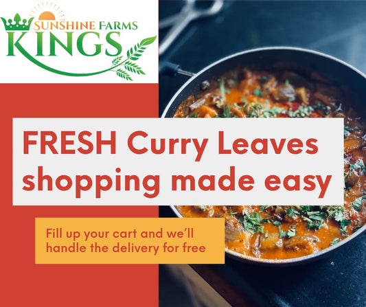 FRESH Curry Leaves - Highly Aromatic and Flavorful 5 lb Pack