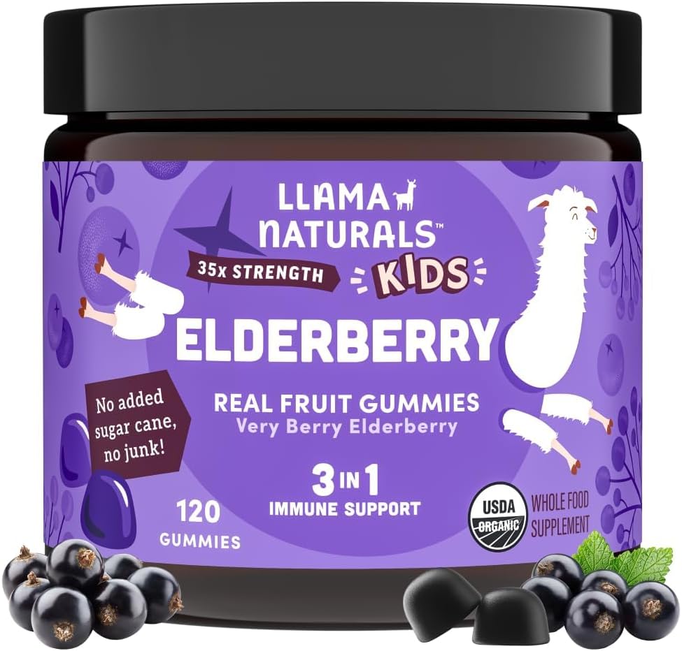 Elderberry Gummies for Kids - Vegan Organic Immune Support