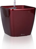 Dexceder 11x10 Self Watering Planter - Inner Mat, Water Gauge