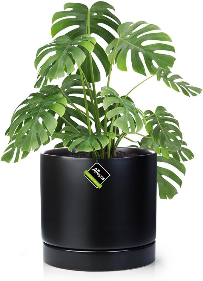 Aveyas 10 inch Ceramic Plant Pot with Drainage Hole for Indoor Use
