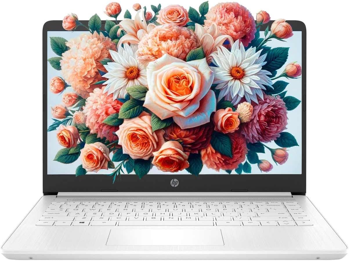 HP 14in Schools and Business Laptop with Intel Quad-Core N4120