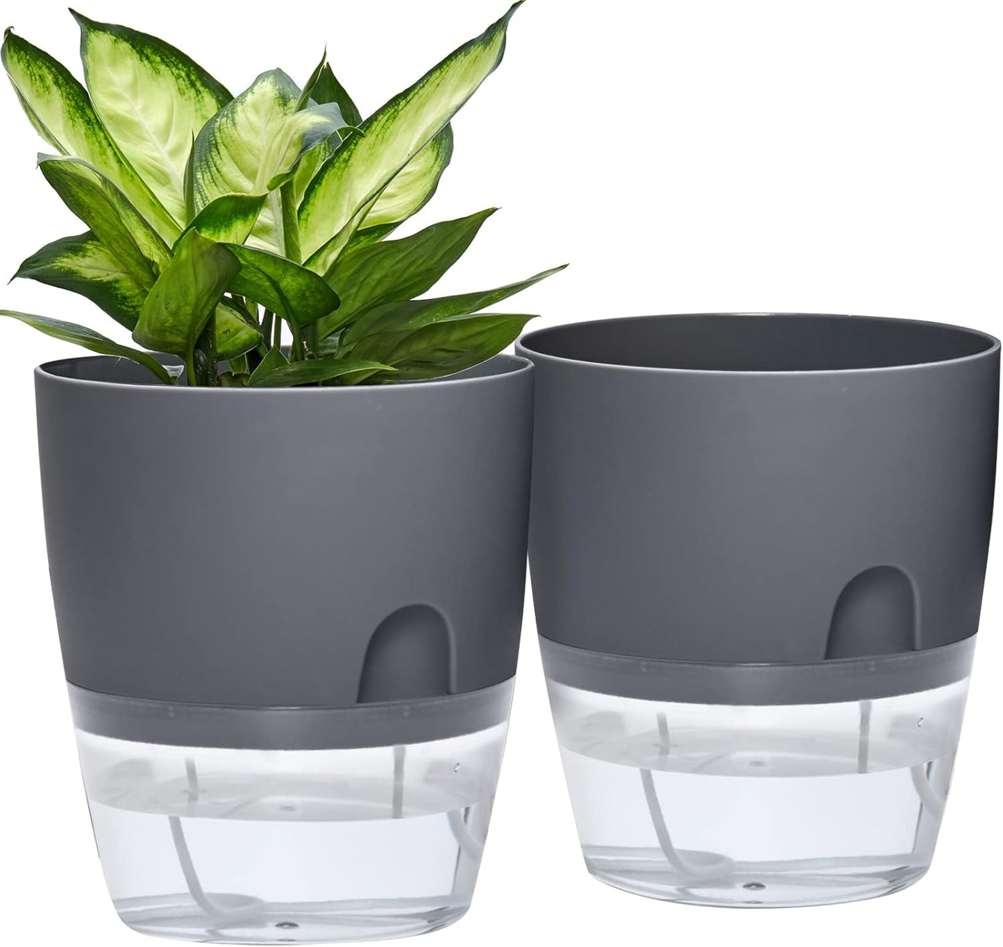 Self Watering Planter for Indoor Plants, 9.3 Inch Flower Pot