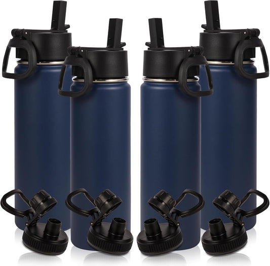 20oz Insulated Stainless Steel Water Bottle With Straw Lid