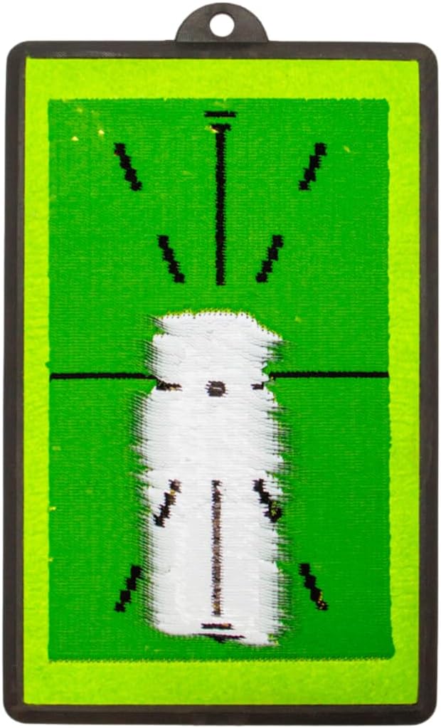 Improve Swing Path with Golf Feedback Mat
