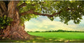 CSFOTO 20x10ft Huge Tree Backdrop Rural Scenery - Large Picnic