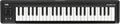 Korg 49-Key Midi Controller MKEYAIR49 - Portable Bluetooth USB