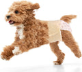 Ambreview Dog Diapers for Female Dogs - Super Absorbent & Leak-Proof