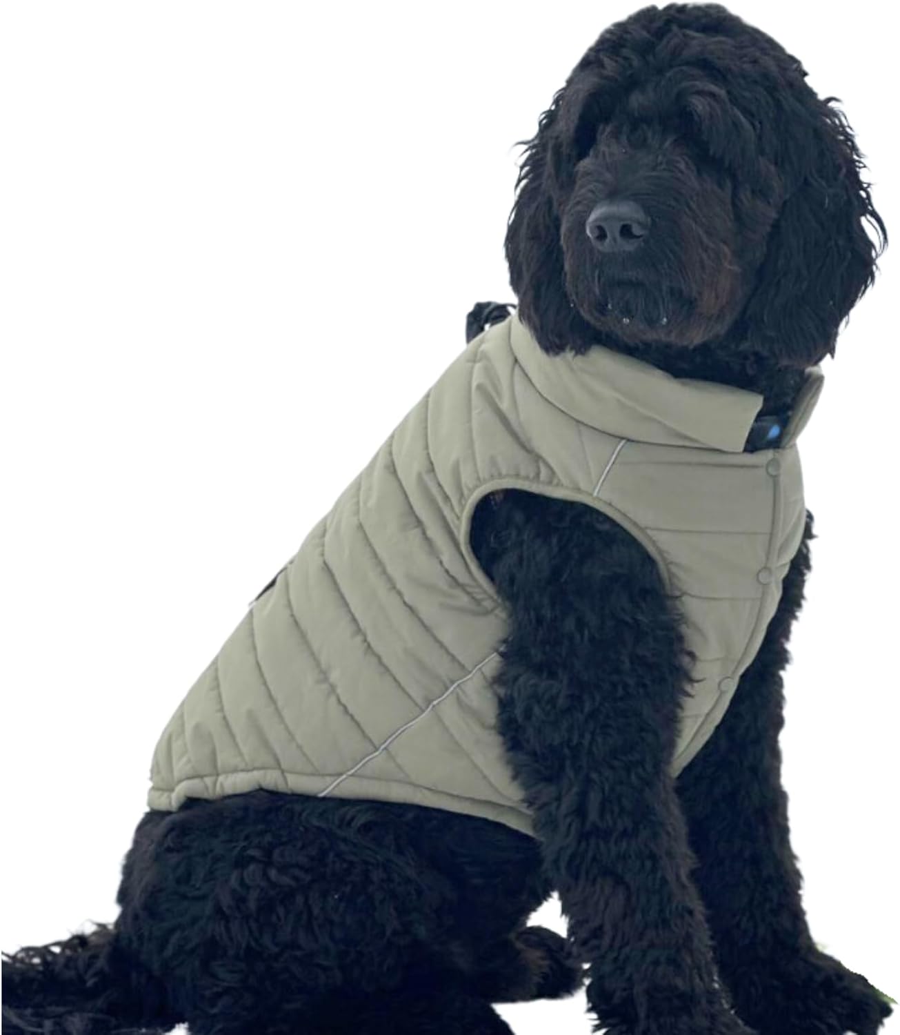 Spark Paws Dog Winter Jacket for Medium and Large Dogs