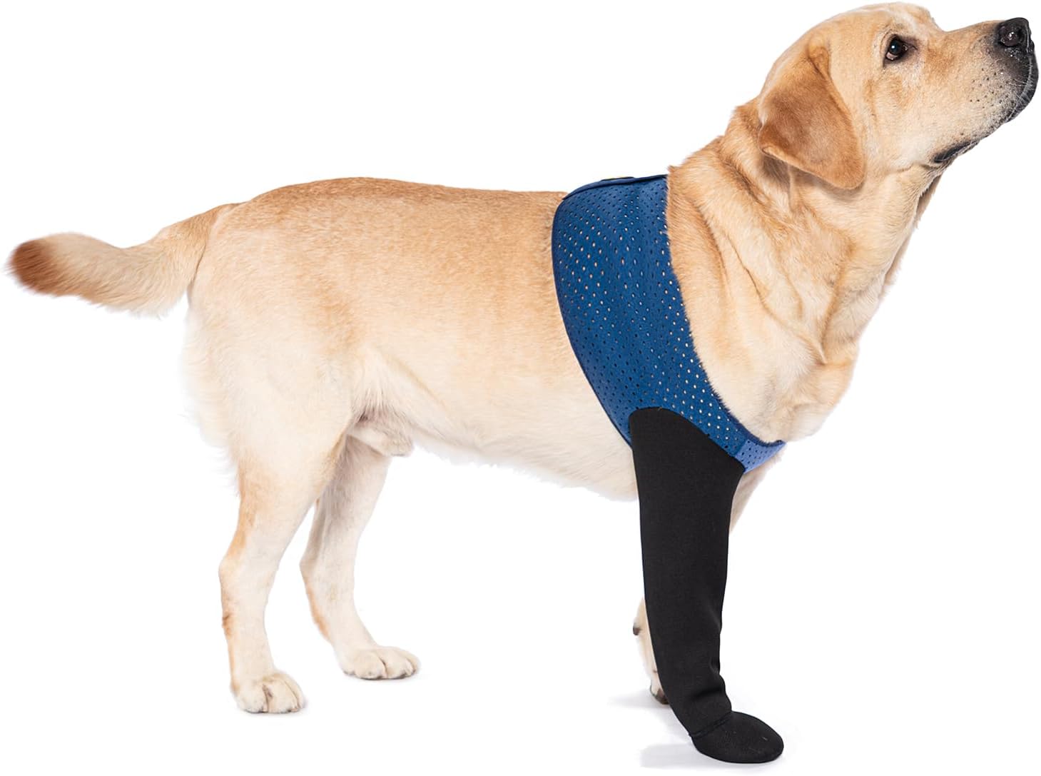 COODEO Dog Socks for Wound Protection and Healing Boots