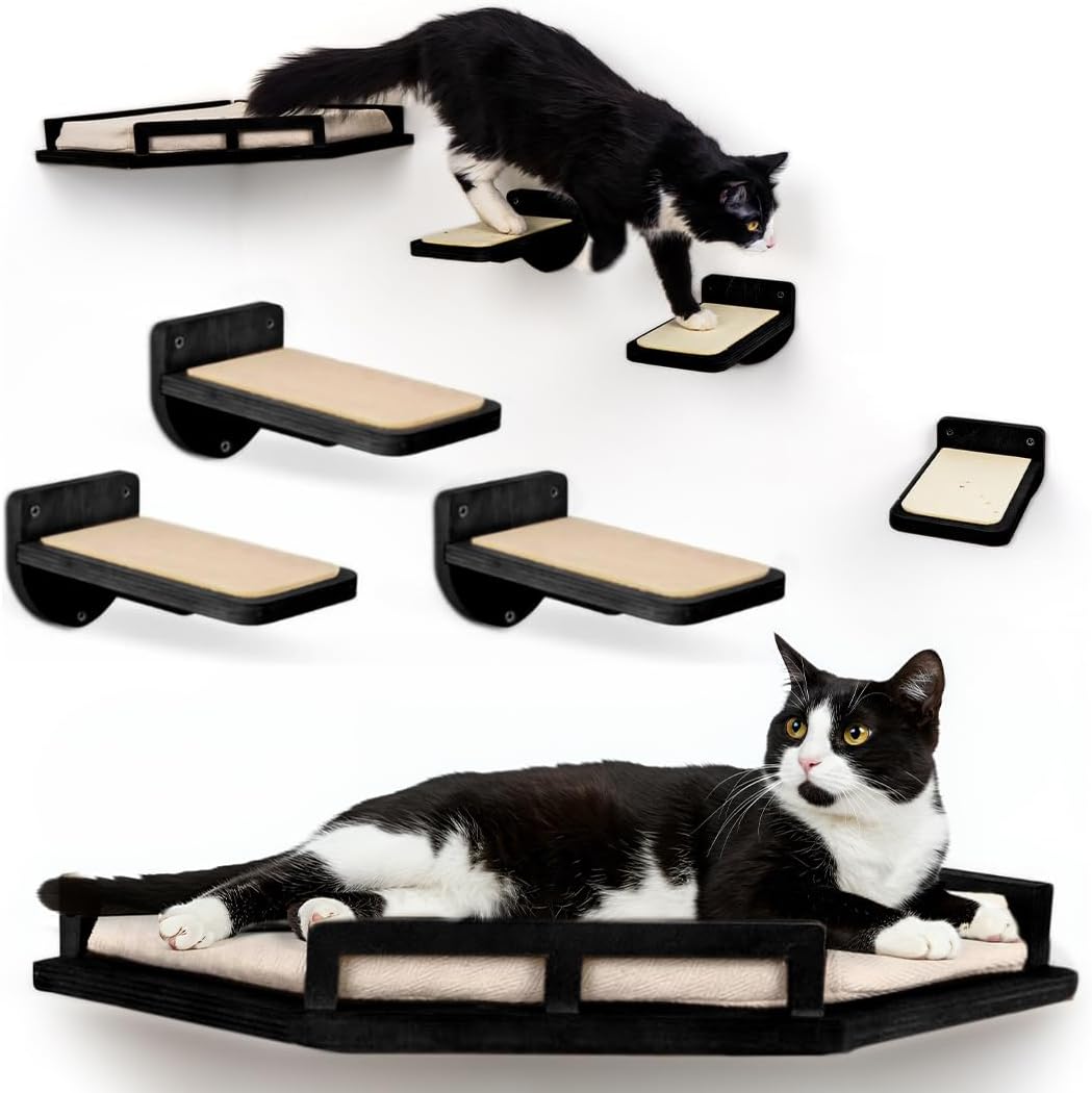 Modern Cat Wall Shelves for Stylish Climbing and Comfort
