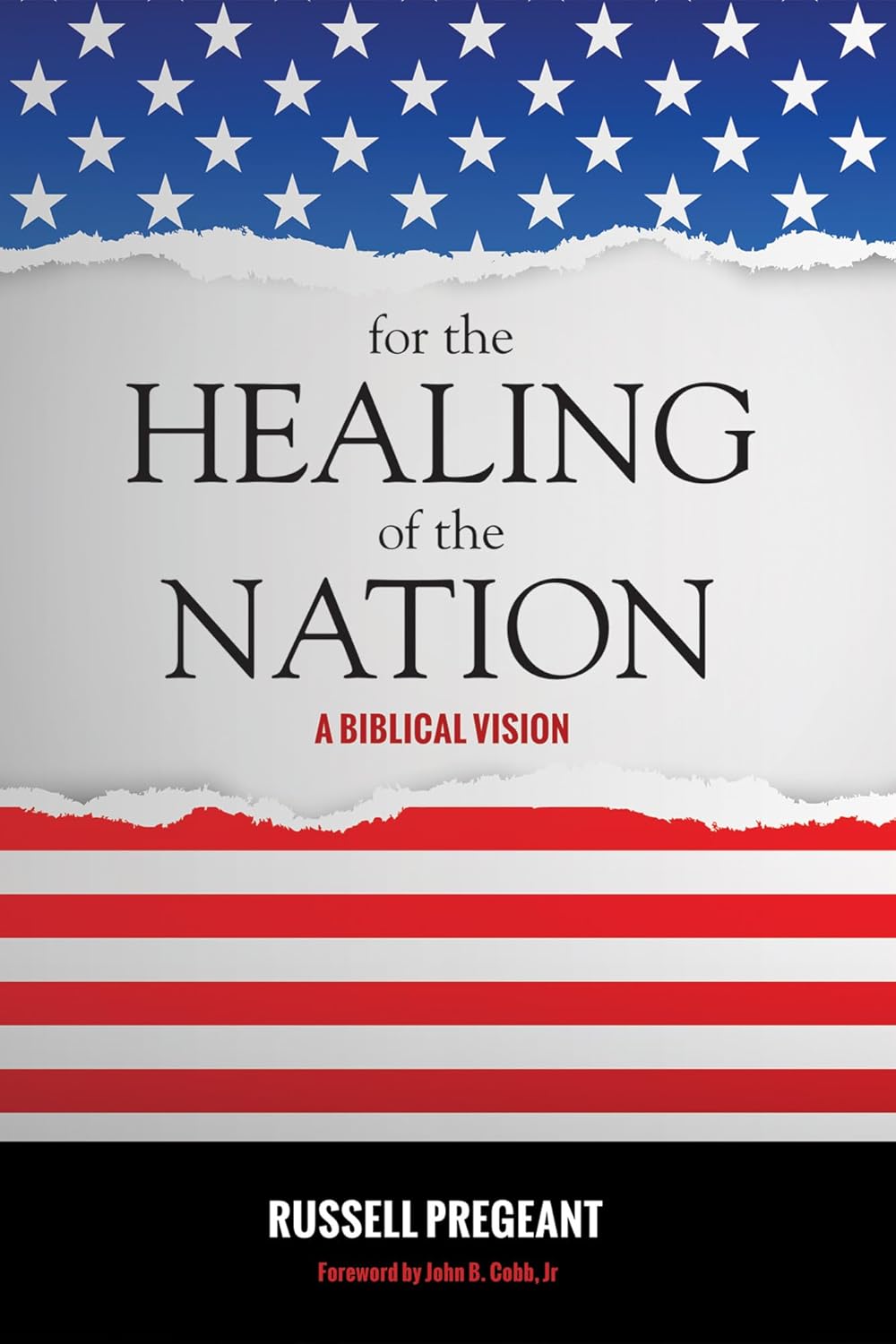 For the Healing of the Nation: A Biblical Vision Review