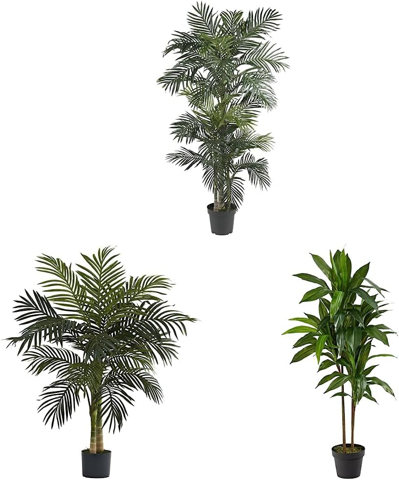 Stunning 6.5ft Golden Cane Palm Silk Tree & 4ft Dracaena Plant