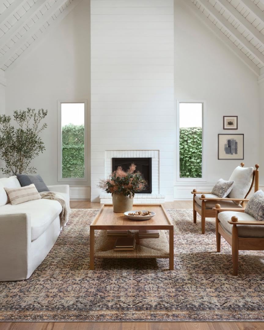 Billie Collection Area Rug by Loloi - Antique & Distressed Design