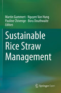 Sustainable Rice Straw Management - Practical Options for Engineers