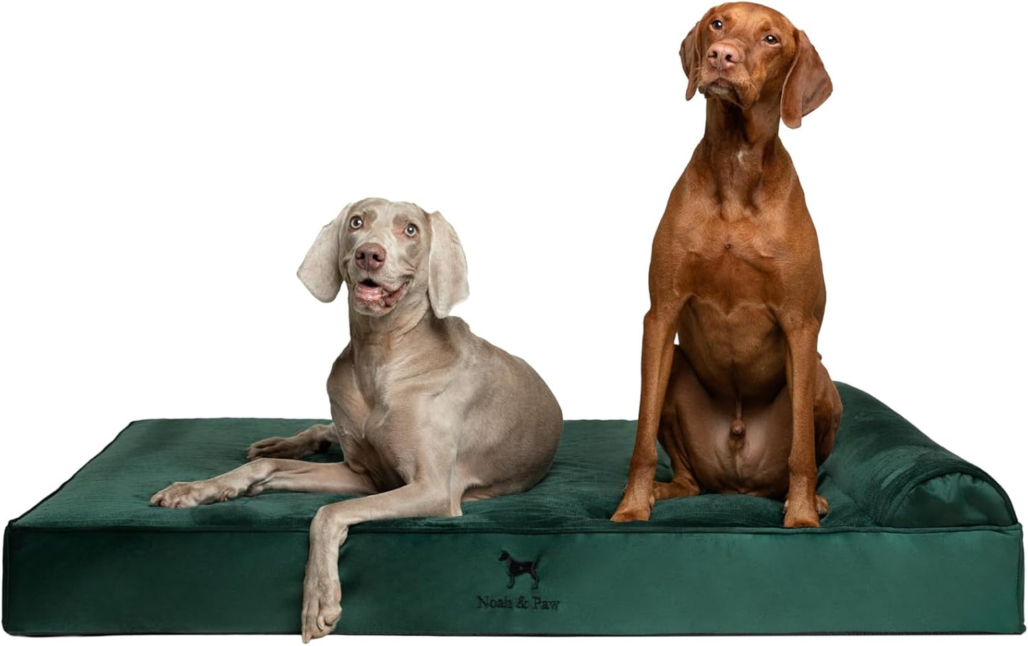 Giant Dog Bed XXL 55x45x9.5 Inch for Ultimate Comfort