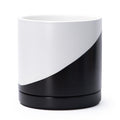 D'vine Dev 10 in Ceramic Planter Pot - Modern Oblique Design