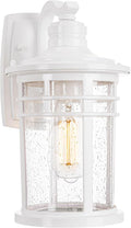 Outdoor Porch Light Wall Sconce White (1 Pack) - Weatherproof Seeded