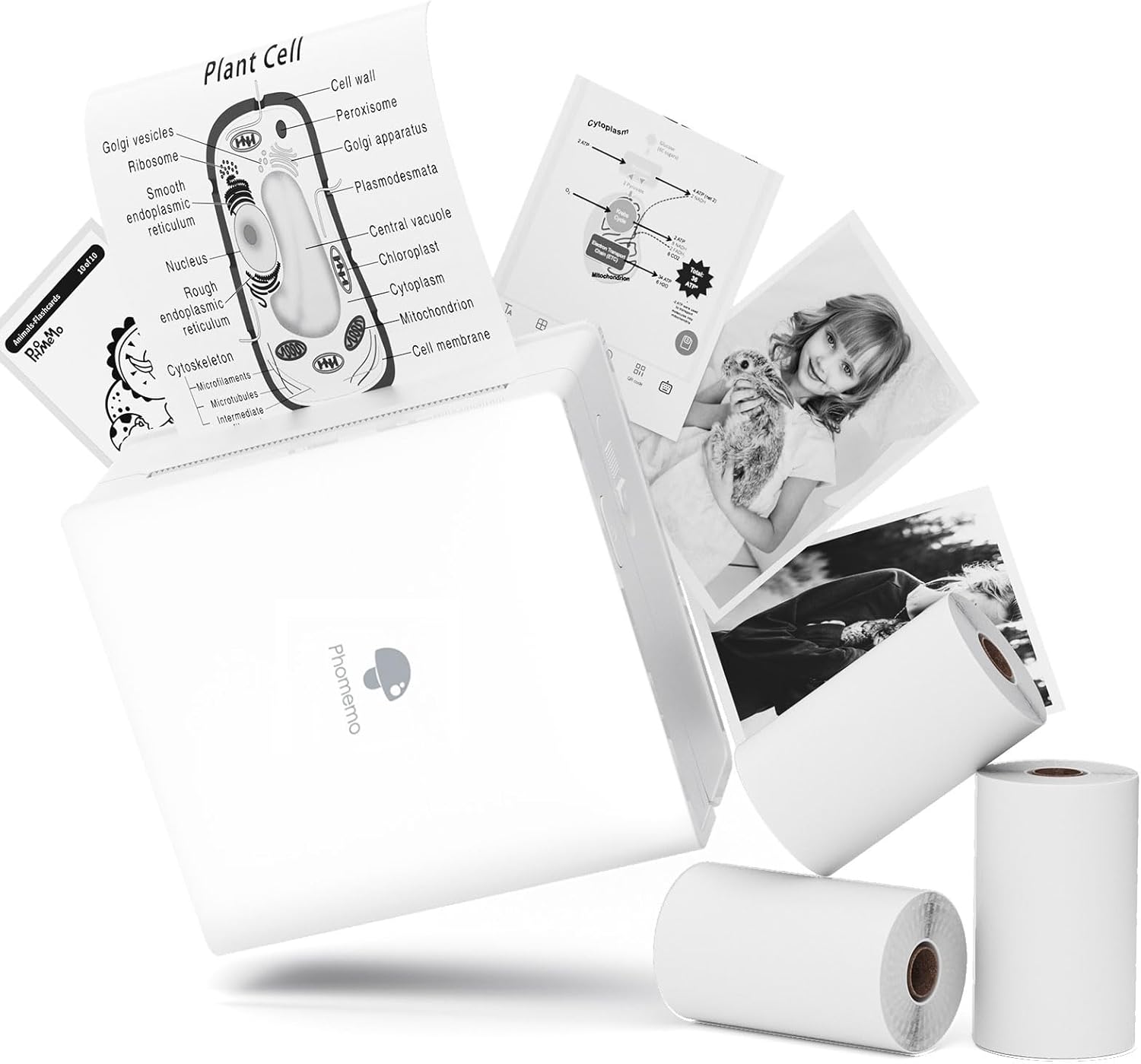 Portable Bluetooth Pocket Printer for Picture Perfect Printing!