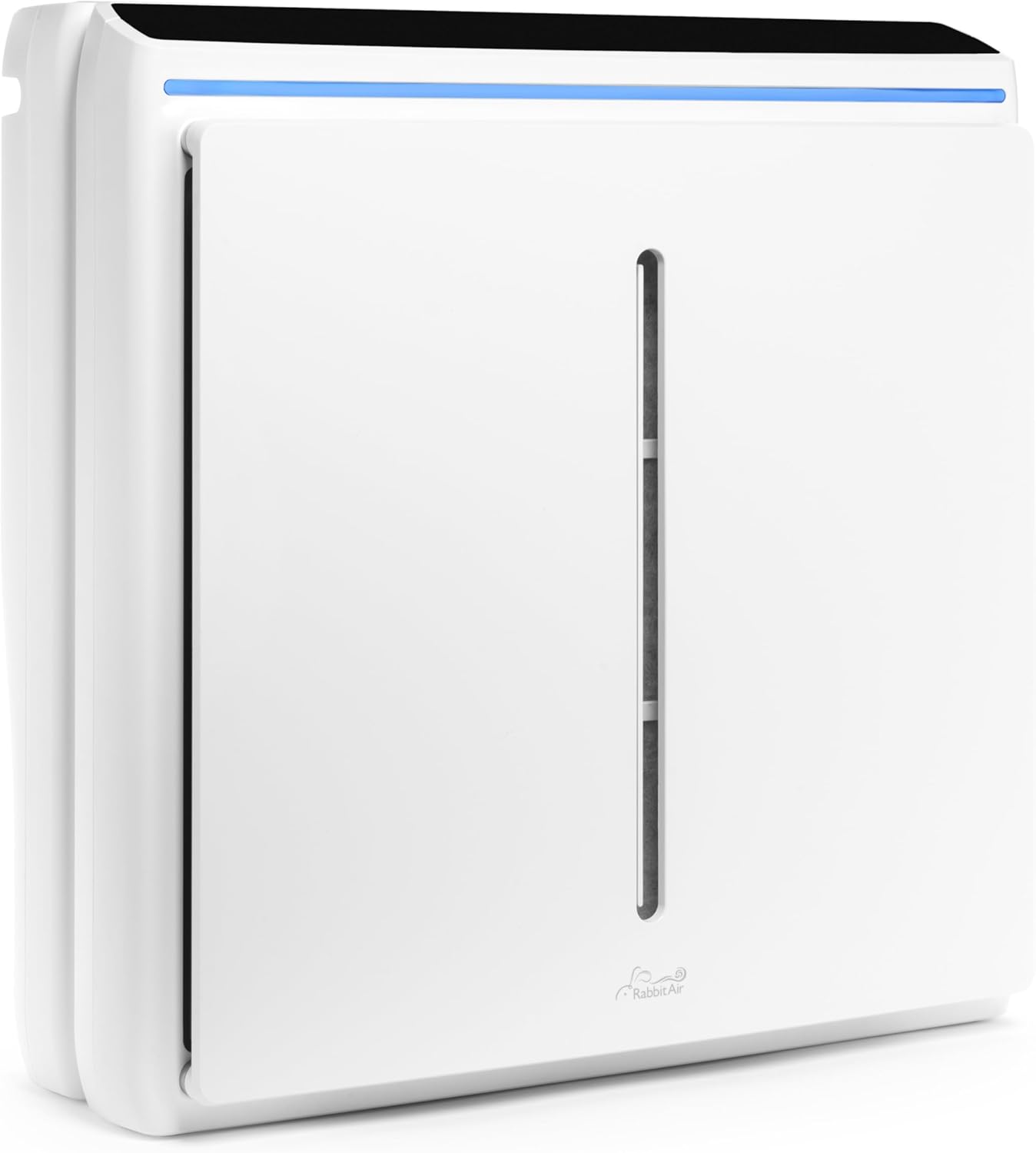 Ultra Quiet Rabbit Air HEPA Purifier - Allergy-Free Home