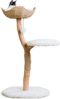 Wooden Cat Climbing Tree Tower - Modern Single Branch Cat Condo