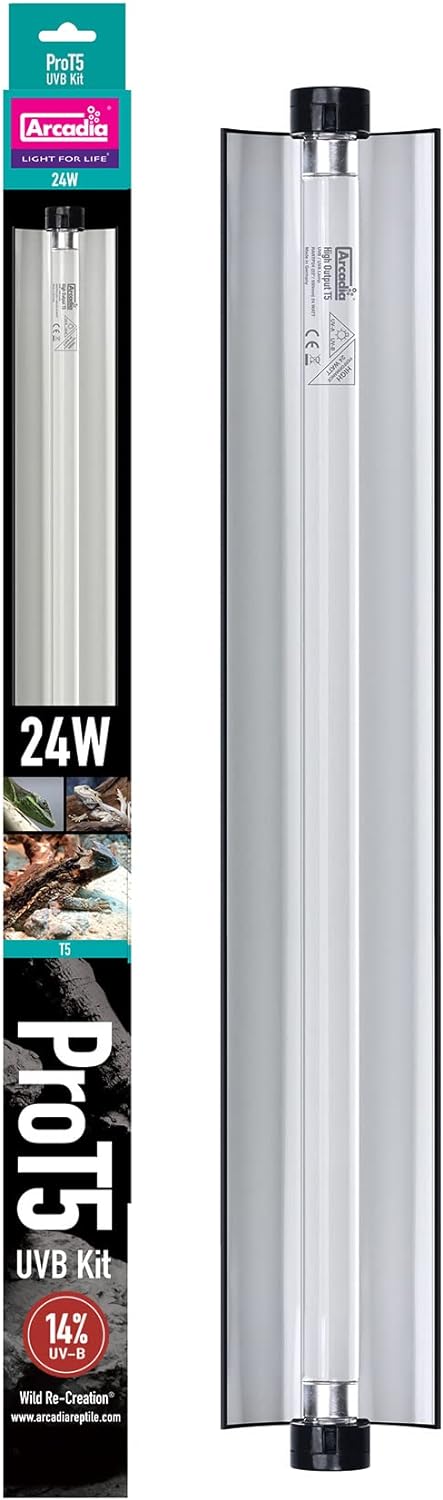 Arcadia Pro T5 UVB Lighting Kit - Perfect for Vivarium Setup