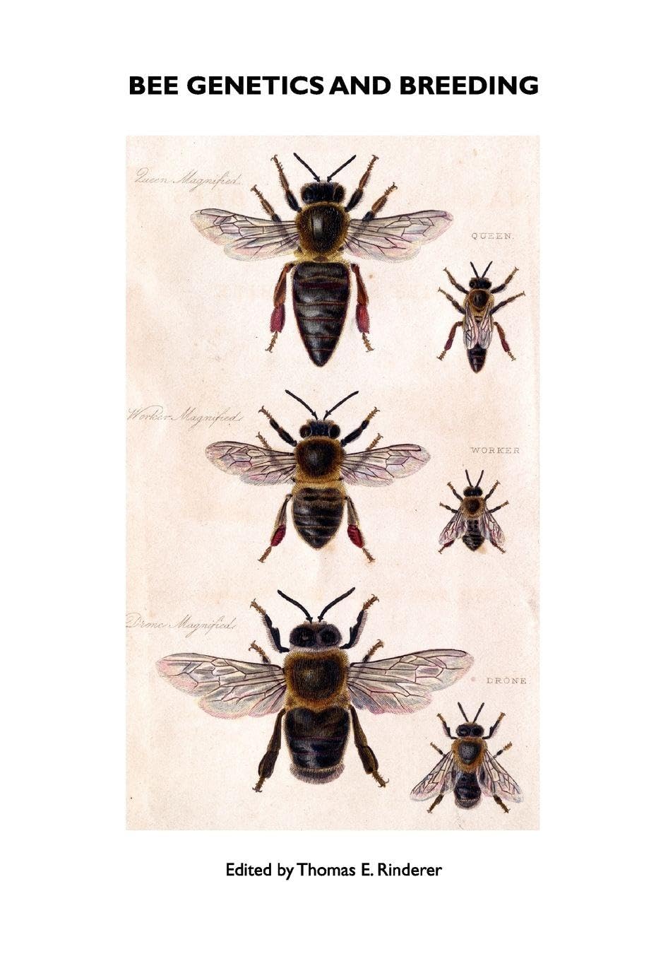 Bee Genetics and Breeding: Unlocking the Secrets of Apiculture
