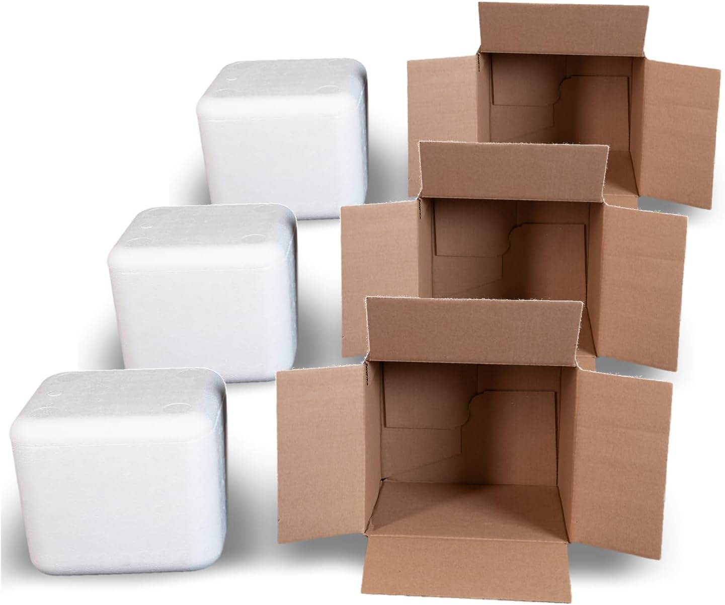 Robin II EPS Foam Cooler Pack of 3 for Shipping and Storage