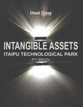 Intangible Assets: Itaipu Technological Park PTI Brazil - Valuation